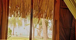 Royal Beach - Vue de la chambre