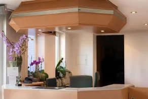Hotel Sonne - Réception