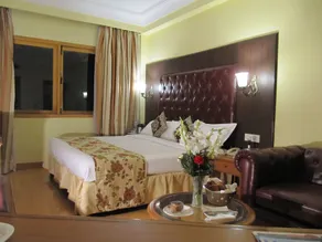 Ritz Plaza - Room