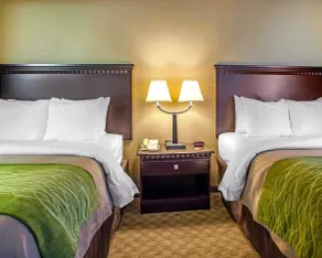 Comfort Inn Edison - New Brunswick - Chambre