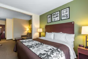 Sleep Inn & Suites Bush Intercontinental - IAH East - Room