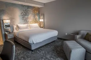 Courtyard by Marriott Greenville Mauldin - Chambre
