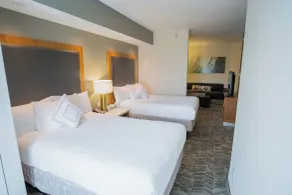 SpringHill Suites by Marriott Winston-Salem Hanes Mall - Chambre