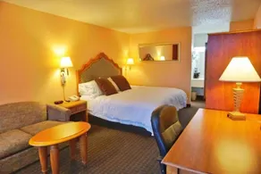 Castle inn & suites by OYO Lawton - Chambre
