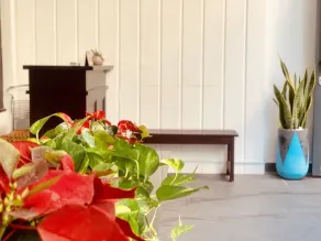 Moonlight House & Apartment Nha Trang - Reception
