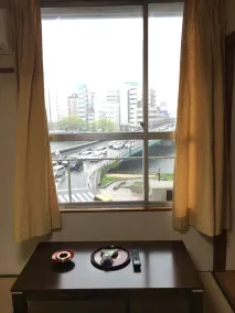Tenryu Ryokan - Vista dalla camera