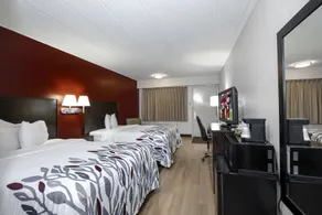 Red Roof Inn Detroit - Troy - Chambre