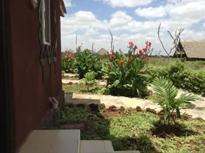 AA Lodge Amboseli - View from room