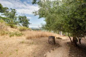 Lovely Belmont Apartment w/ Stunning Views! - Interior