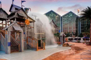 Gaylord Palms Resort & Convention Center - Piscine