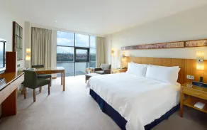 Canary Riverside Plaza Hotel - Room