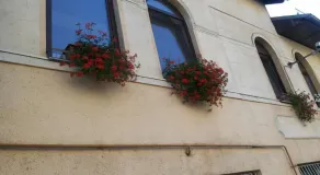 Skend - Vue de la chambre