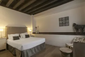 Shine Albayzín - Chambre