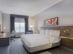 Hilton Garden Inn Raleigh-Cary - Chambre