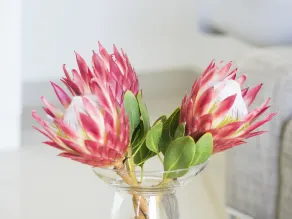 THEBLOEM Guest Suites by Knysna Paradise Collection - Camera