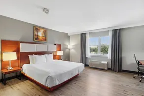Saco Bay Hotel - Chambre