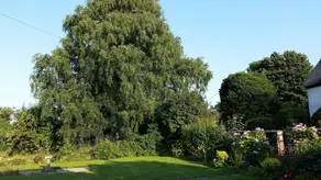 Mackworth House Farm - View from room