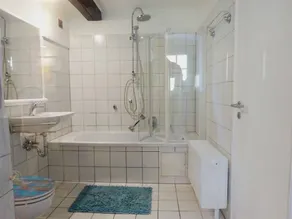 Ferienwohnung Petrina Donaustauf - Badeværelse