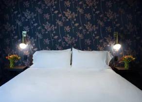 Shelburne Springs Hotel - Rom