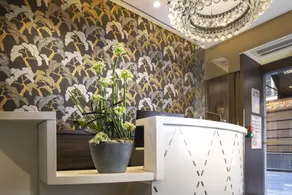 Hôtel Daunou Opéra - Réception