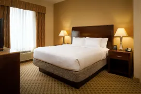 Hilton Garden Inn Cincinnati Blue Ash - Chambre