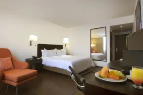 Fiesta Inn Insurgentes Sur - Room