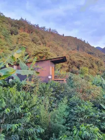 Hotel La Palma y El Tucán - Café y Naturaleza - Chambre