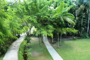 Nature's Village Resort - Vue de la chambre