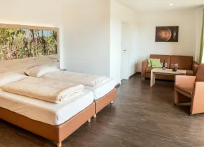 Pension Weingut Schwab - Room