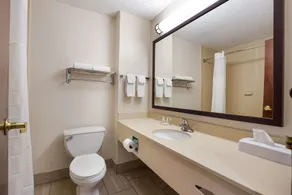 Quality Inn Thomasville-Northpark - Badezimmer
