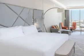 Radisson Blu Hotel and Convention Center, Riyadh Minhal - Room