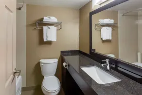 Best Western Plus Leamington Hotel & Conference Centre - Badrum