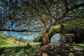Nangú Glamping Experience - Habitación