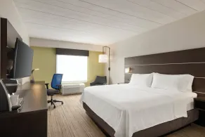 Holiday Inn Express Hotel & Suites Fort Myers East - The Forum by IHG - Chambre
