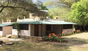 Jungle Hut Resort - Chambre