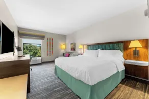 Hampton Inn Stroudsburg/Poconos - Room