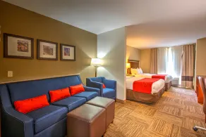 Comfort Suites Urbana Champaign, University Area - Vue de la chambre