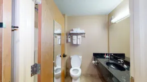 Ramada by Wyndham Strasburg - Shenandoah Valley - Badezimmer
