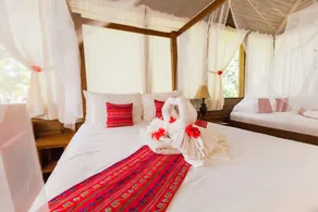 Jaguar Creek - Room