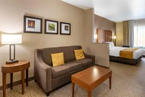 Comfort Suites Coralville I-80 - Rom