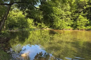 Alleghany Cottage for Fall Fishing & Foliage - Innvendig