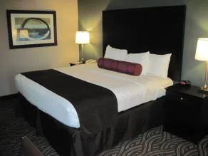 Best Western Plus Kingston Hotel and Conference Center - Chambre