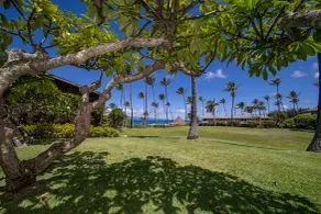 Napili Shores Maui by OUTRIGGER - No Resort & Housekeeping Fees - Vue de la chambre