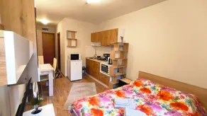 Tulip Studio Deluxe, Grand Resort Pamporovo - Room
