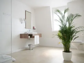 Hotel & Mühlenapartments by AVERA Gernsbach GmbH - Bathroom