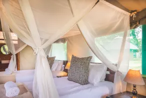 Shindzela Tented Camp - Zimmer