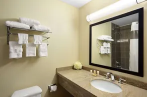 Days Inn by Wyndham Brampton - Salle de bain