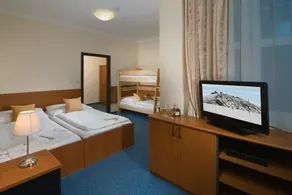 Hotel Domovina - Habitación