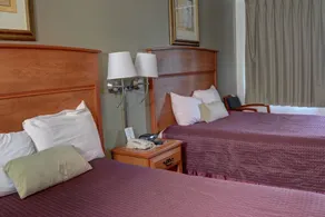 The Palms Motel - Room