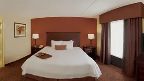 Hampton Inn Rochester Webster - Chambre